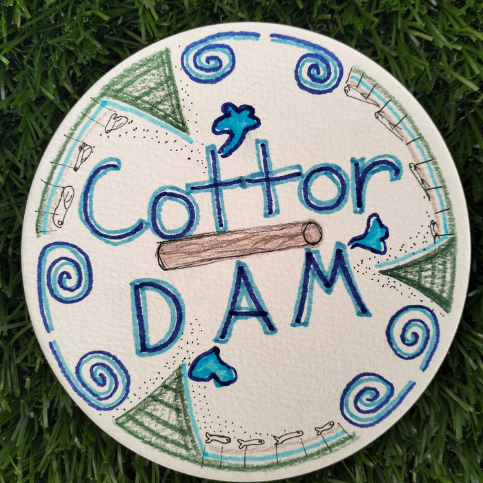 Finding Calm at the Cotter through Nature, Science and Art by Cristy Froehlich