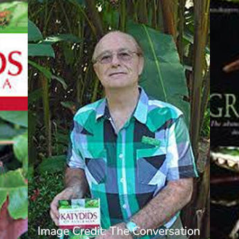 Exciting update — Lake Eacham Artist retreat with Dr Anna Votsekovich