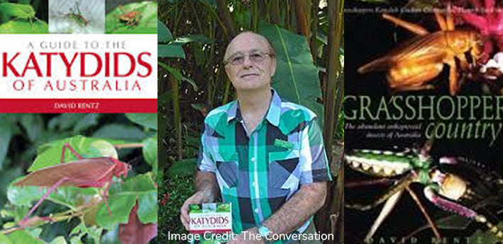 Exciting update — Lake Eacham Artist retreat with Dr Anna Votsekovich