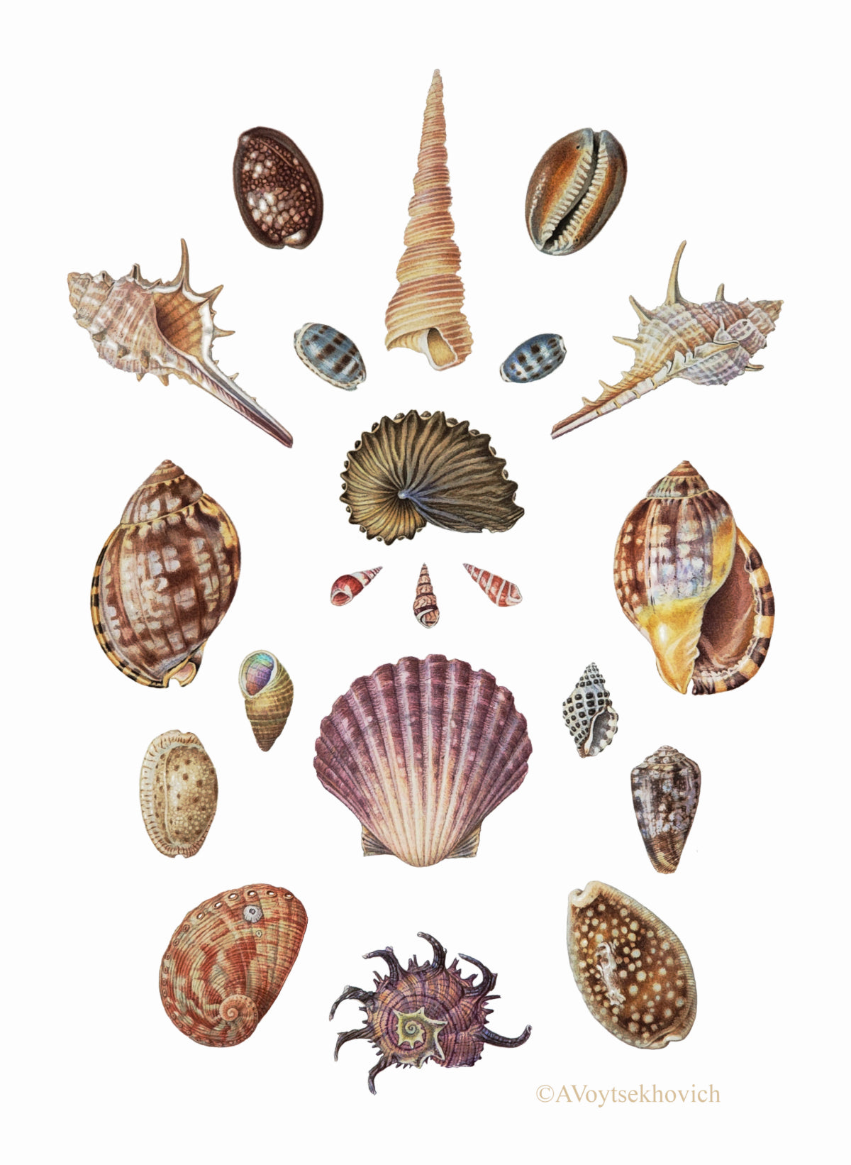 When Science Meets Art: Waterhouse Finalist 2026- Dr Anna Voytsekhovich