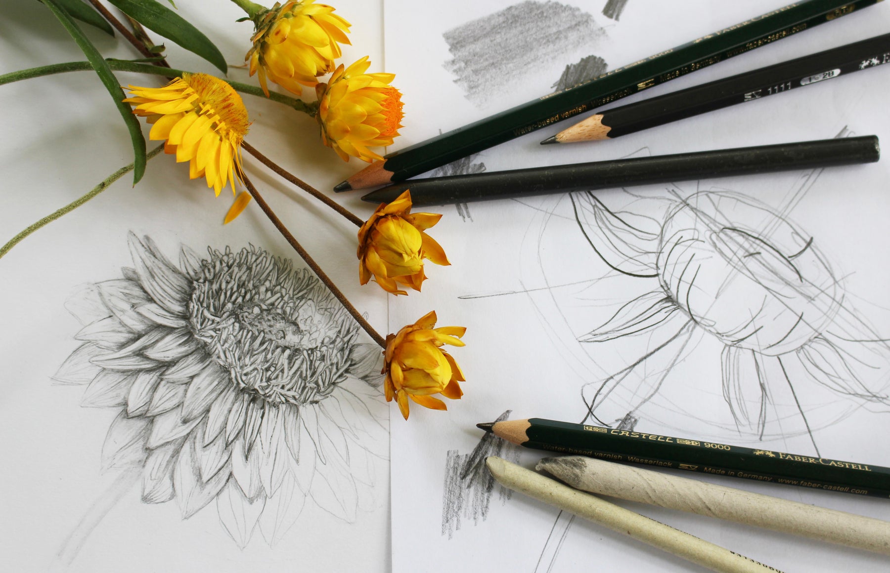 Sketching flowers - Nicole Crosswell Artist Profile