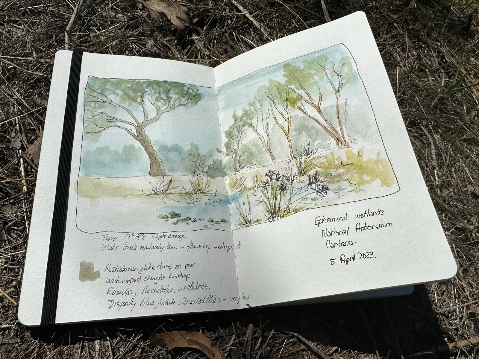 Art Jounal open to a page with a watercolour image of wetlands. There is handwritten text on the page and colour swatches. The journal sits on grass and has a black elastic band holding the pages down at the left edge