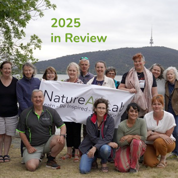 A Year of Creativity, Connection & Gratitude