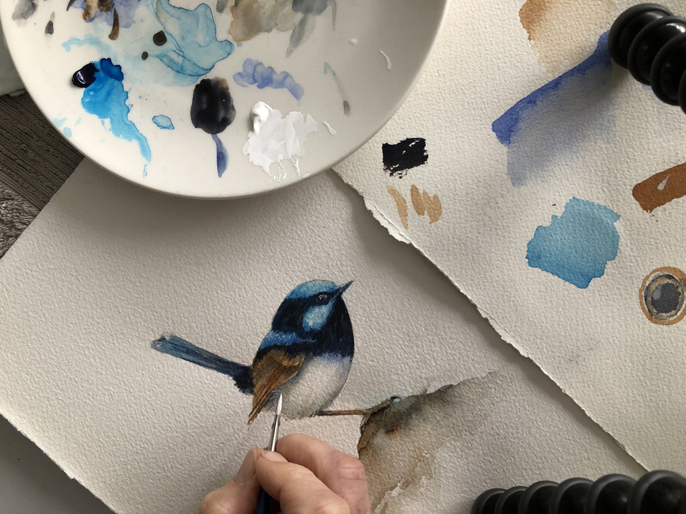 painting a bird