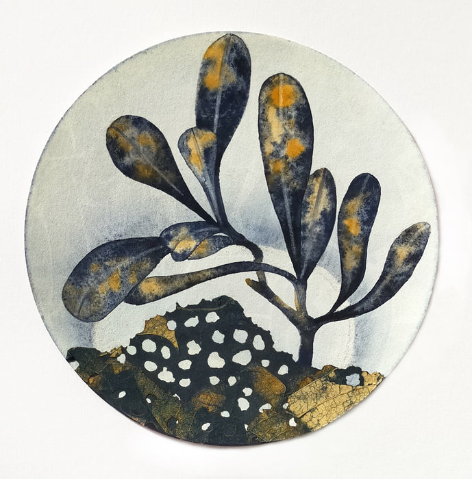 Painting from Nature with Sharon Muir