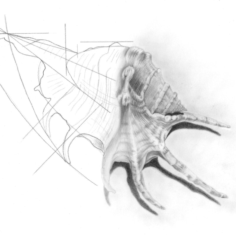 Drawing Two - The Joy Of Discovery - with Renee Prescott