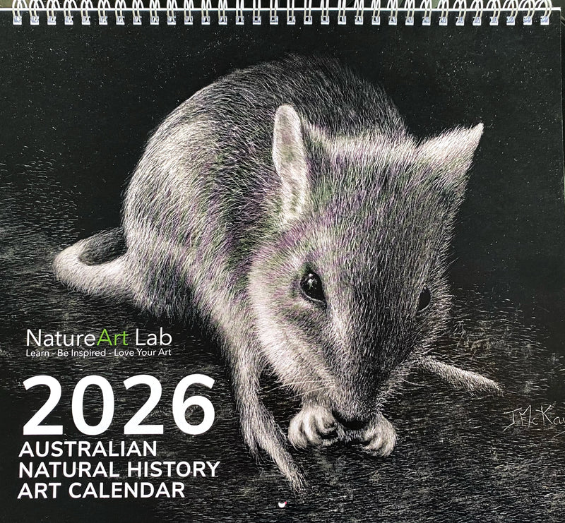 2026 Natural History Art Calendar on Promotion