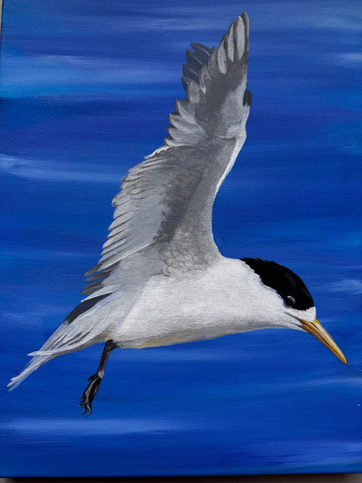 2026 Natural History Art Calendar