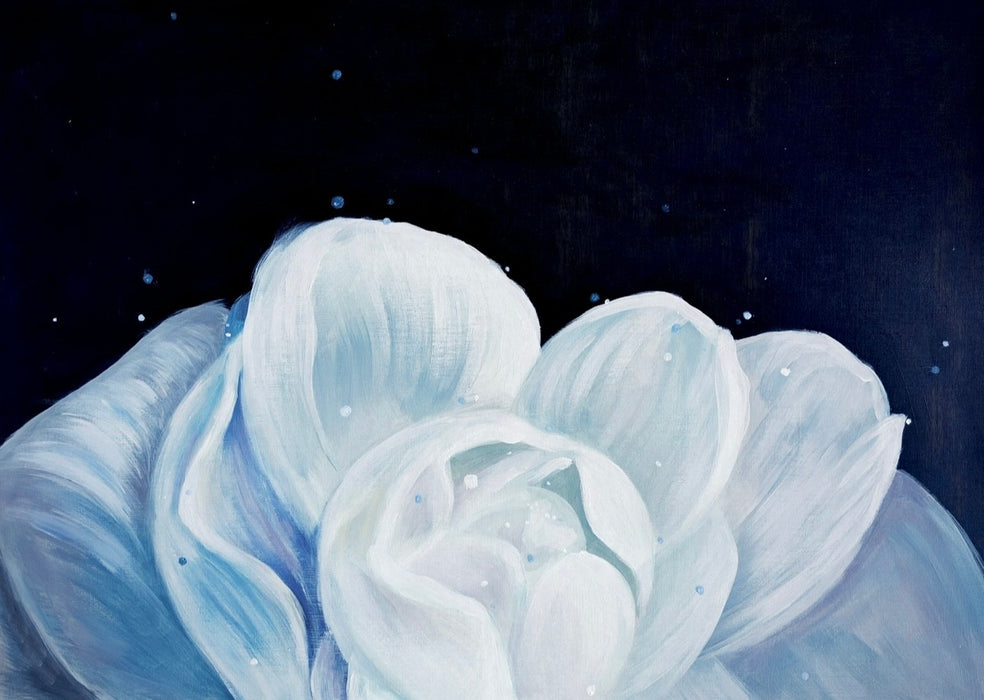 2026 Natural History Art Calendar