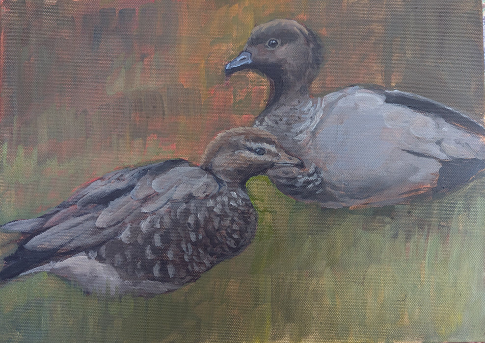 2026 Natural History Art Calendar