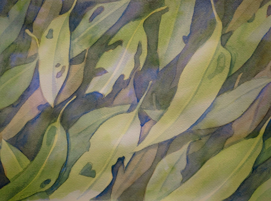 Watercolour Two (Daytime) with Xiaochen (Fiona) Bao