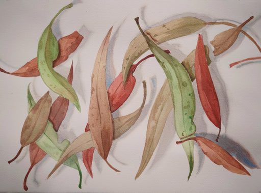 
Artistic watercolour depiction of leaves in red, green, and brown on a light background