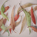
Artistic watercolour depiction of leaves in red, green, and brown on a light background