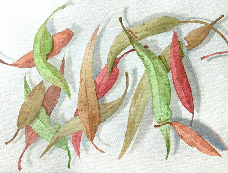 Watercolour One (Daytime) with Xiaochen (Fiona) Bao