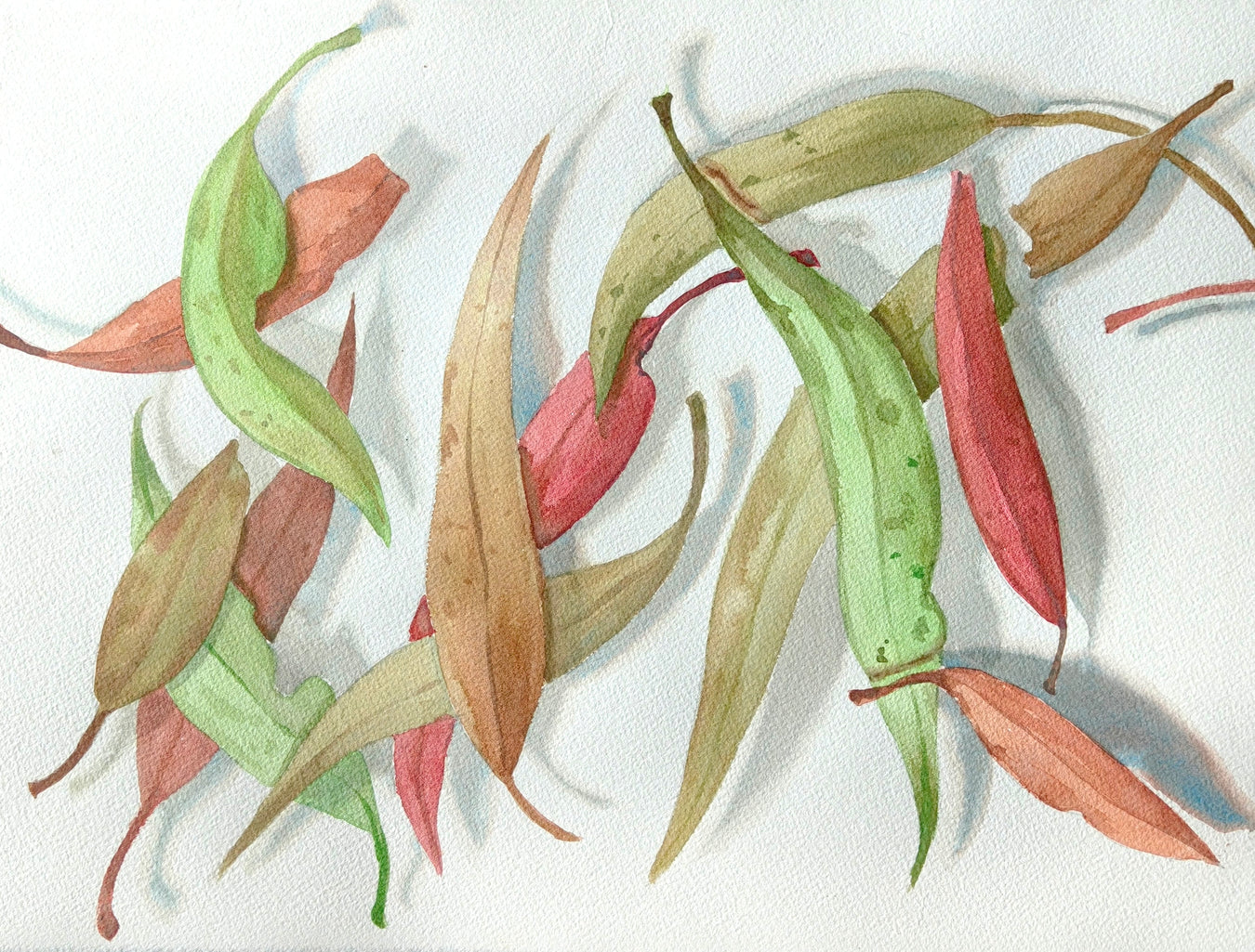 Foundation Classes – Watercolour