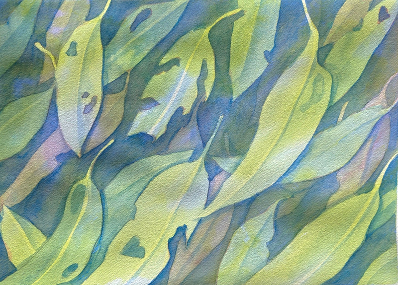 Watercolour One (Daytime) with Xiaochen (Fiona) Bao