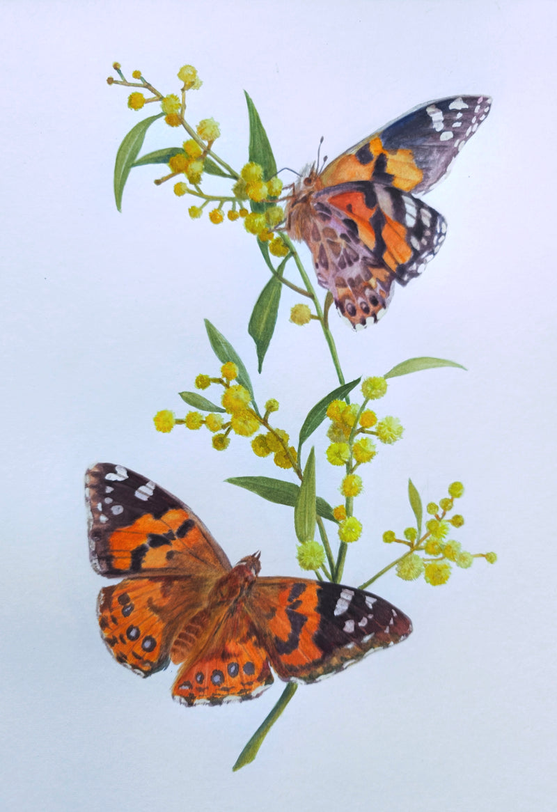 Watercolour Three (Daytime) with Xiaochen (Fiona) Bao