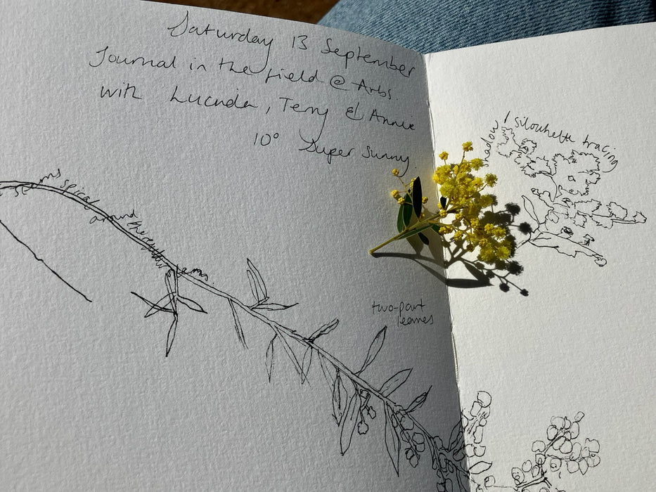 ‘Nature Together – Journalling for Connection and Wellbeing’  Community Nature Journalling Program Overview