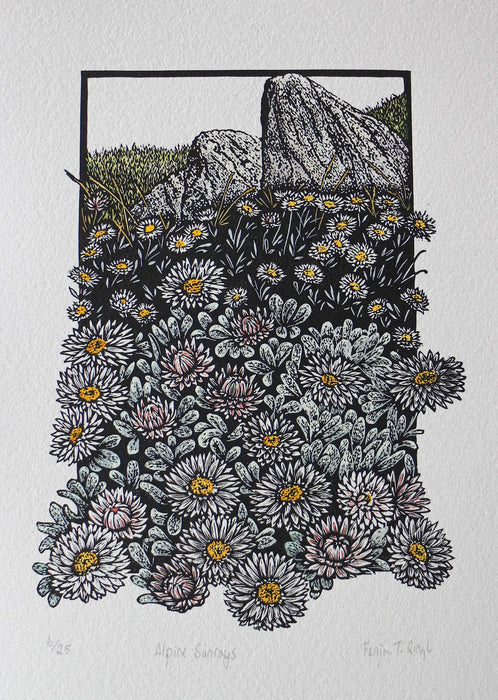 Nature-Inspired printmaking – an Introduction to  Linocut and Drypoint with Dr Fenja T Ringl