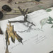 Open nature journal page with plant specimens (bark and eucalyptus leaves) and nature-themed illustrations on a wooden surface