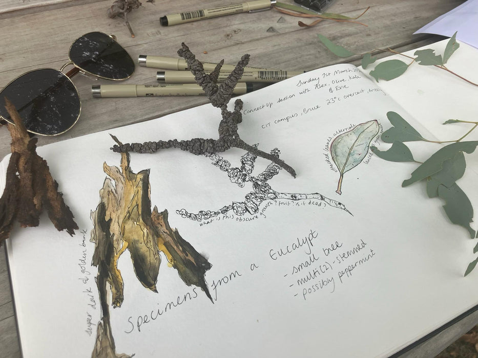 Open nature journal page with plant specimens (bark and eucalyptus leaves) and nature-themed illustrations on a wooden surface