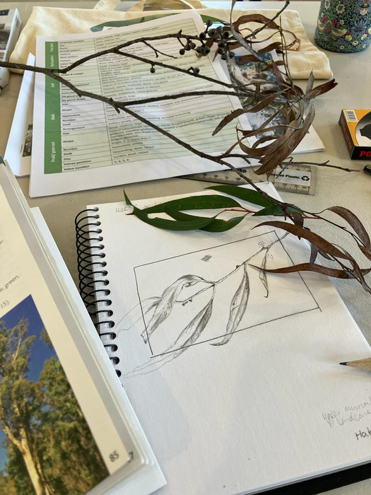 ‘Nature Together – Journalling for Connection and Wellbeing’  Community Nature Journalling Program Overview