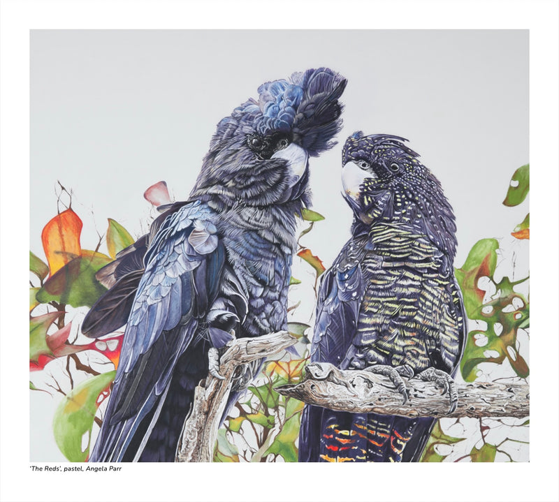 2027 Natural History Art Calendar