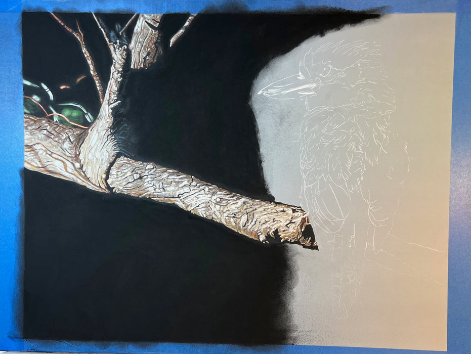 Wildlife in Pastel with Angela Parr