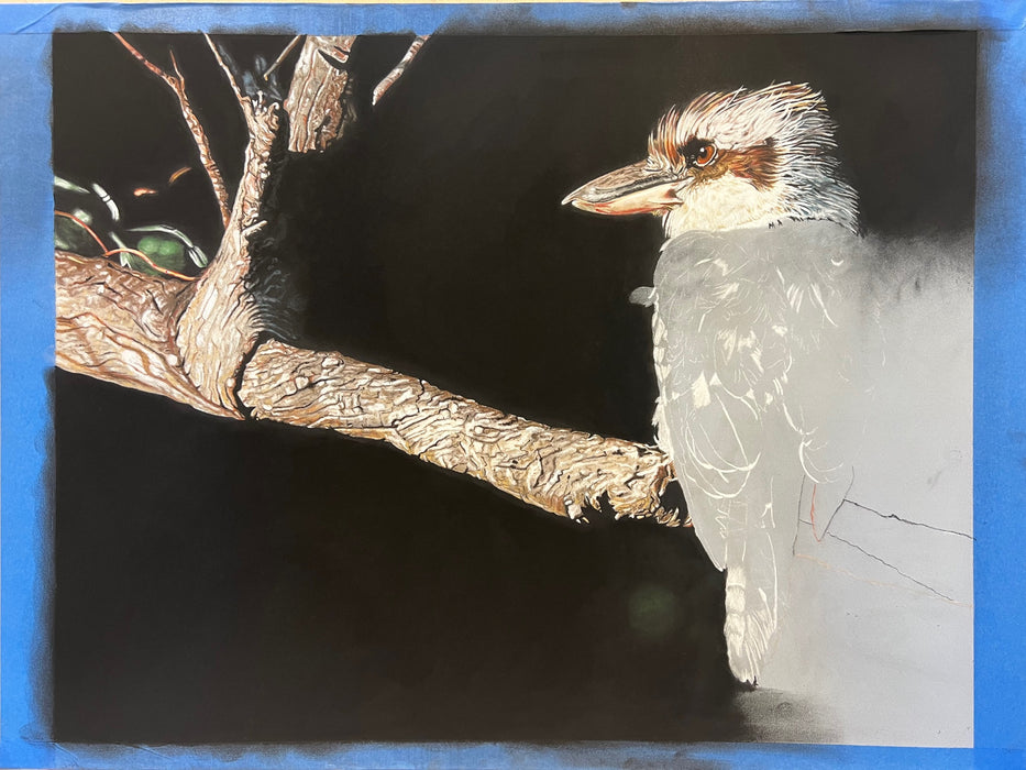 Wildlife in Pastel with Angela Parr