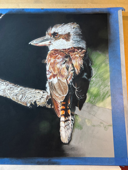 Wildlife in Pastel with Angela Parr