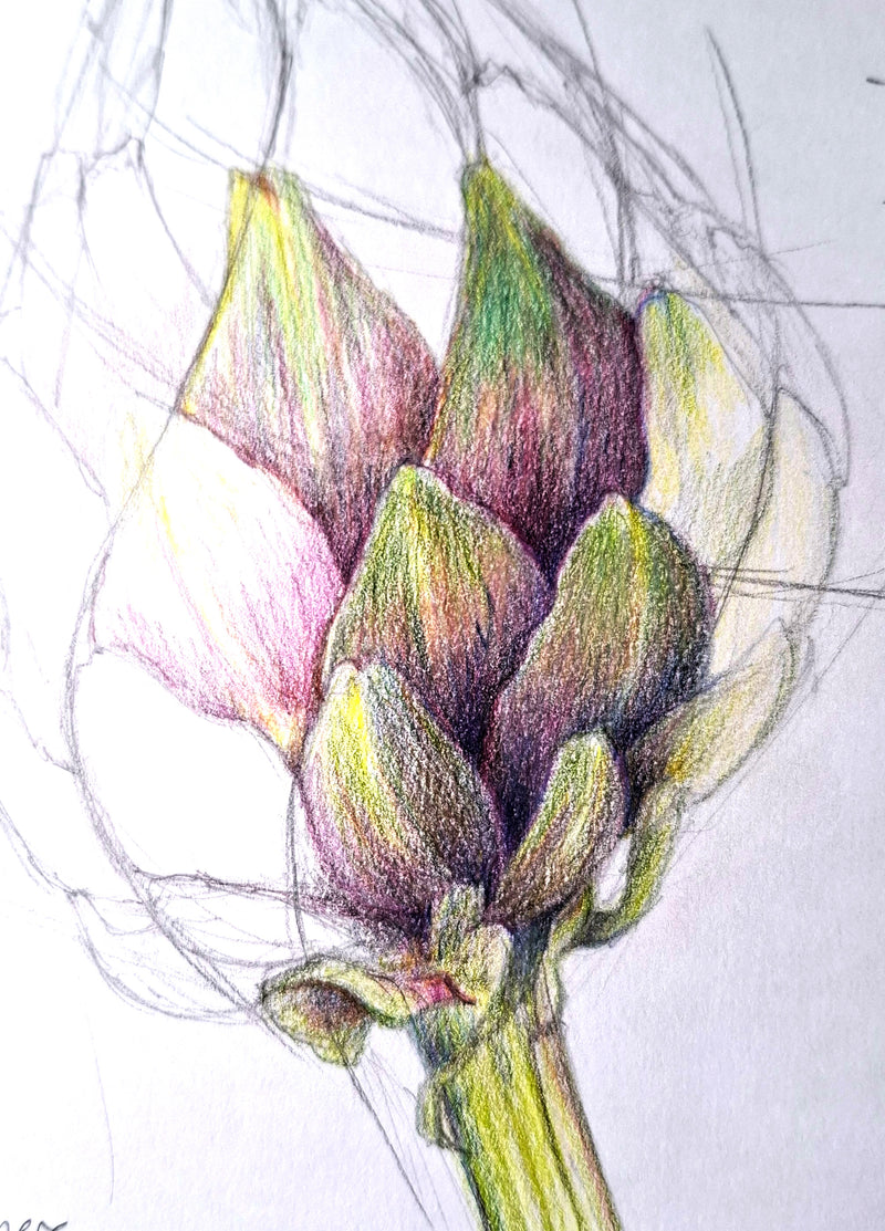 Patterns in Nature with Lesley Wallington — SPIRALS (NEW!)