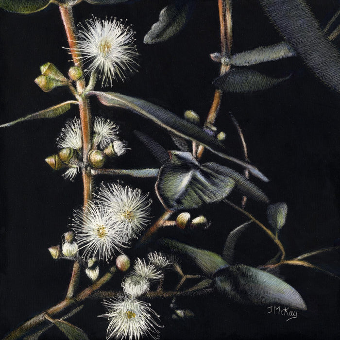 29-30 March 2025: Gum Blossoms on Scratchboard, with Joan McKay