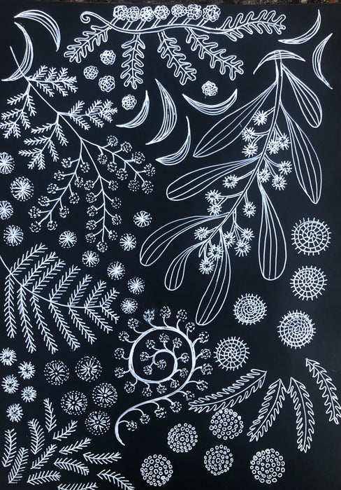 linear botanical designs of Australian plants in white on a black background