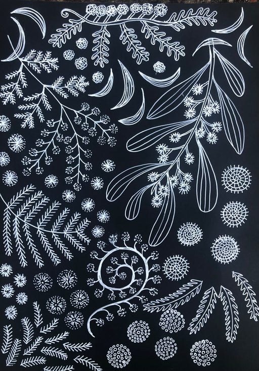 linear botanical designs of Australian plants in white on a black background