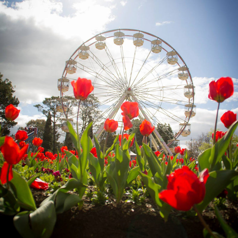 Floriade 2026 – 'Feast of Flowers' – Science and Nature, NatureArt Lab Workshops