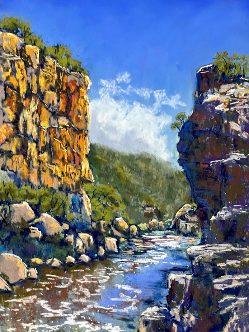Basic Soft Pastel Techniques and Materials with Caroline Reid