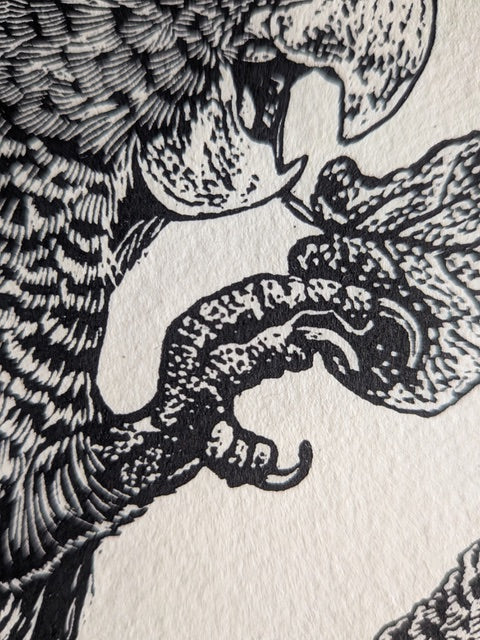 Birds in detail – a linocut printmaking weekend