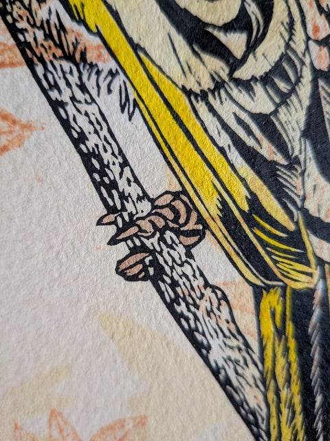 Birds in detail – a linocut printmaking weekend
