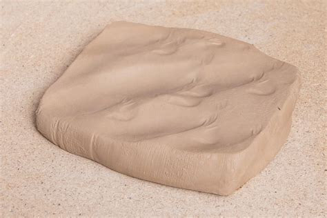 Earth Impressions: Monoprints of the Australian Bush