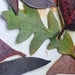 Close-up of various leaf shapes cut out in leather and stained with dye