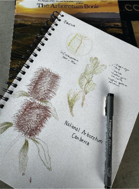 Winter in the woods - National Arboretum Arts and Photography Program