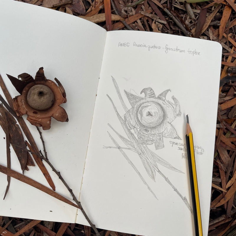 Saturday 7 November 2026 – M16 Artspace & NatureArt Lab Open Day