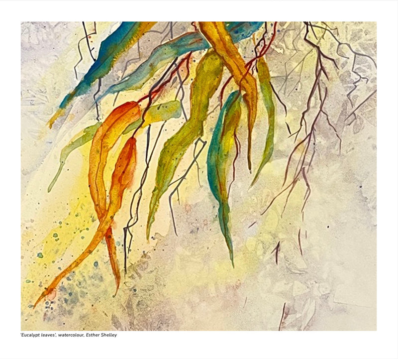 2027 Natural History Art Calendar