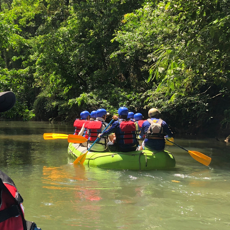 COSTA RICA Ultimate Nature Tour: 2027 - Expressions of Interest