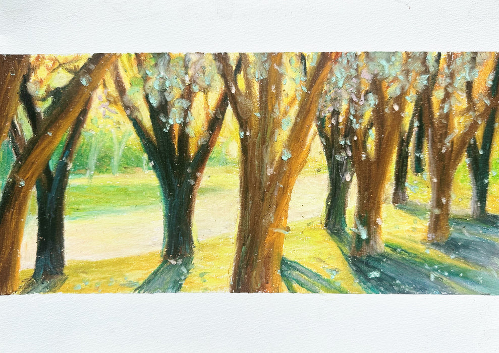 Introduction to Oil Pastel Painting: Exploring Texture, Color, and Technique with Xiaochen (Fiona) Bao (NEW!)