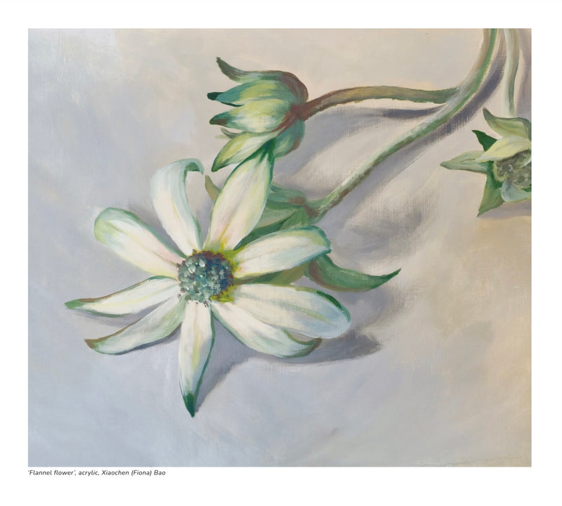 2027 Natural History Art Calendar