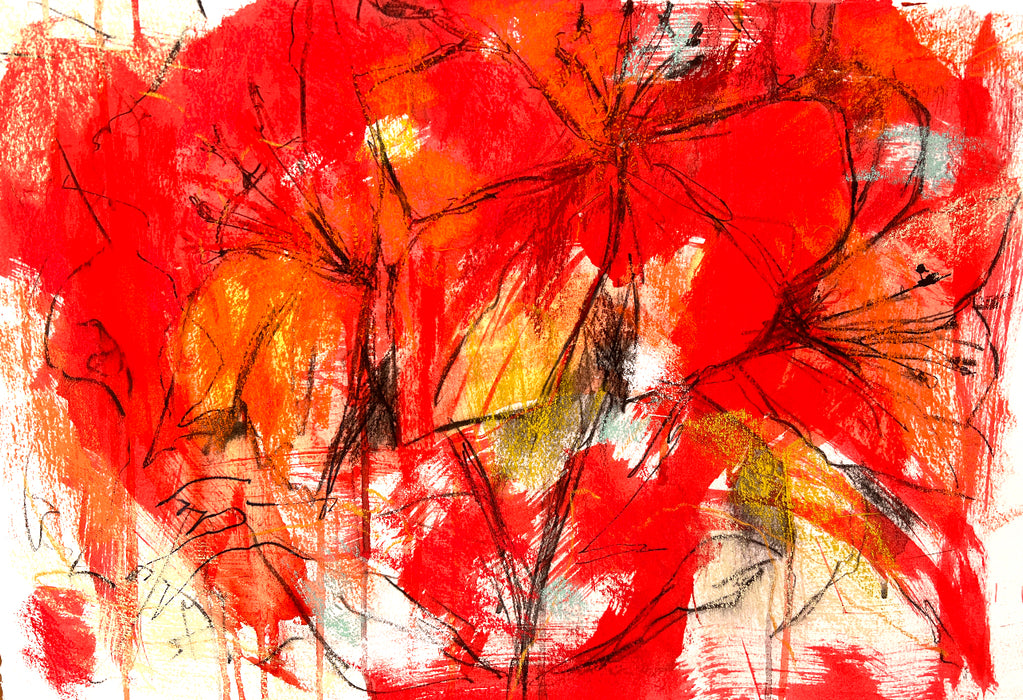 Floral Dreamlines – Abstracting Native Flowers with Caroline Reid (NEW)