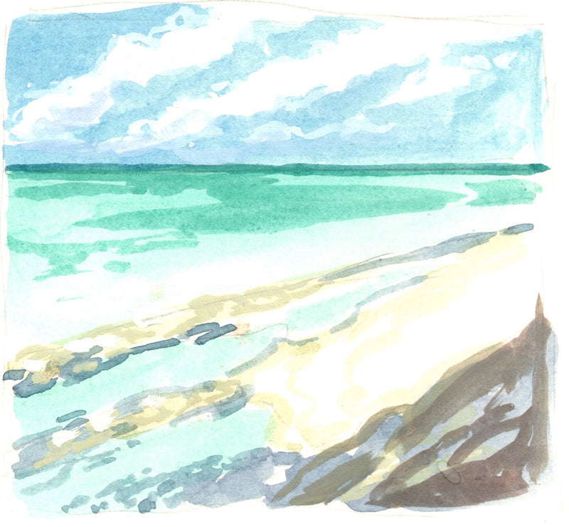 HERON ISLAND NATURE TOUR - ARTIST RETREAT: 17 – 22 February 2027 - $4,520.00