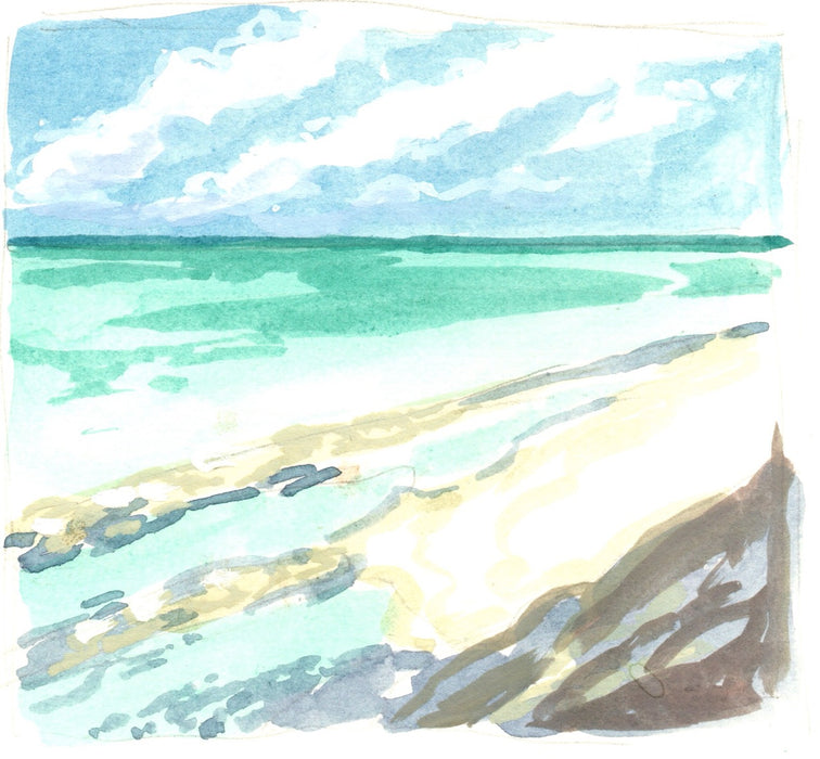 HERON ISLAND NATURE TOUR - ARTIST RETREAT: 17 – 22 February 2027 - $4,520.00