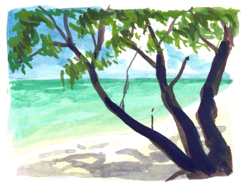 HERON ISLAND NATURE TOUR - ARTIST RETREAT: 17 – 22 February 2027 - $4,520.00